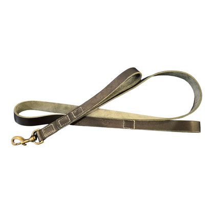 Handcrafted Leather Dog Leash – Antique Brass Clip (5 ft)