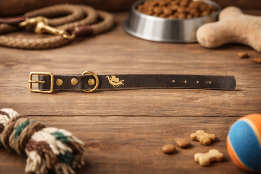 PNW-Made Leather Dog Collar | Rugged and Timeless